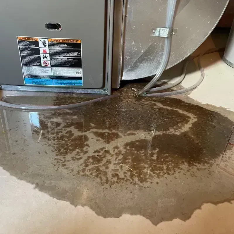 Appliance Leak Cleanup in Brentwood Estates, TN